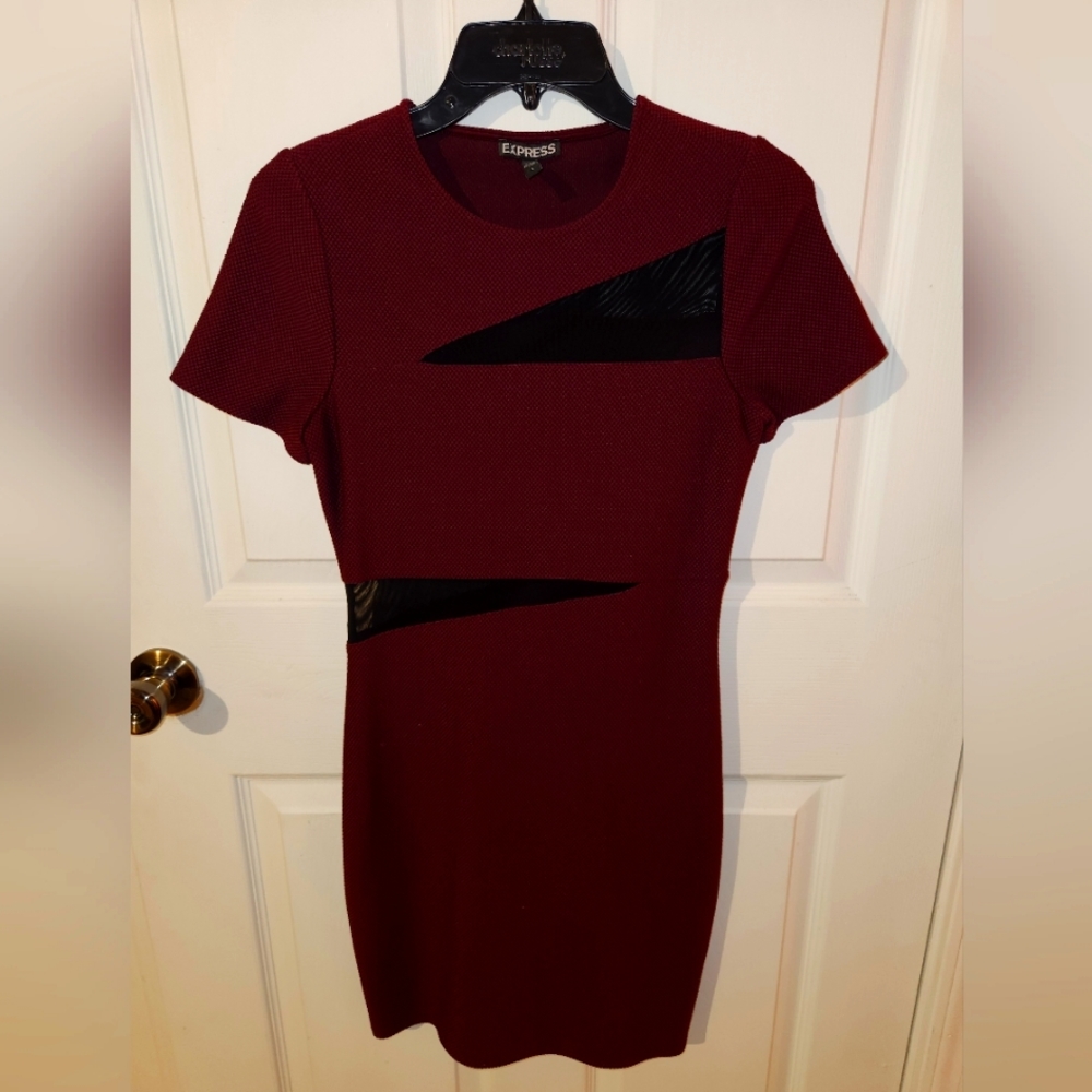 EXPRESS Burgundy Mesh Dress